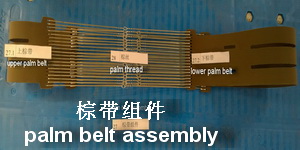 Palm belt assembly